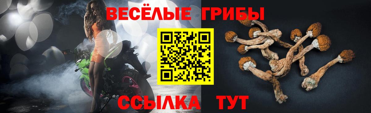Галлюциногенные грибы Cubensis Белореченск