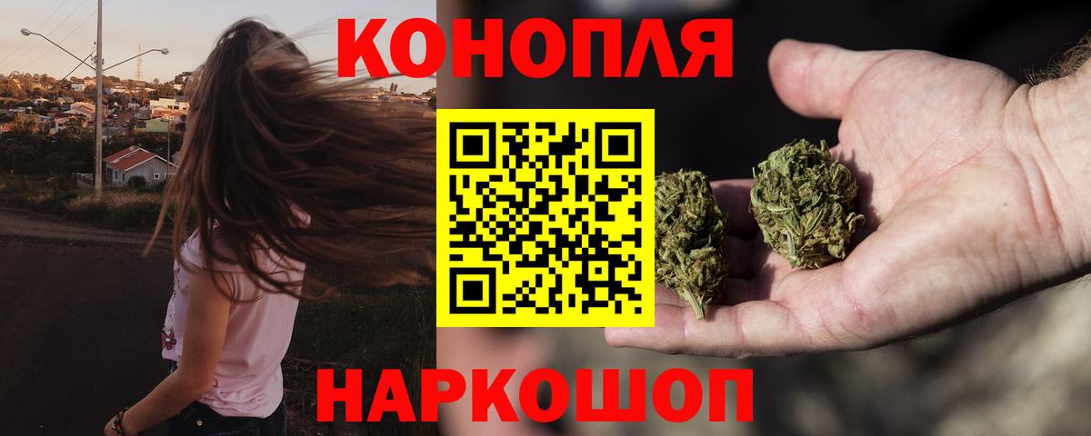 Каннабис OG Kush Белореченск